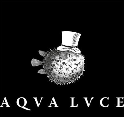 AQVA LVCE